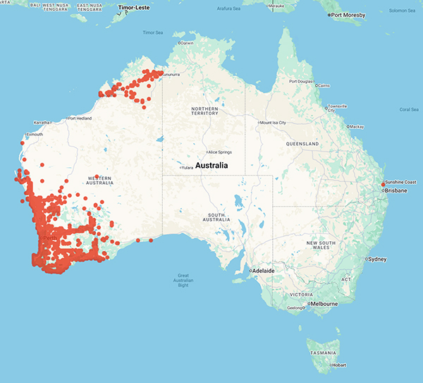 collecting locality map for 'Bennett, E.M.' and 'Scrymgeour, E.M.'
