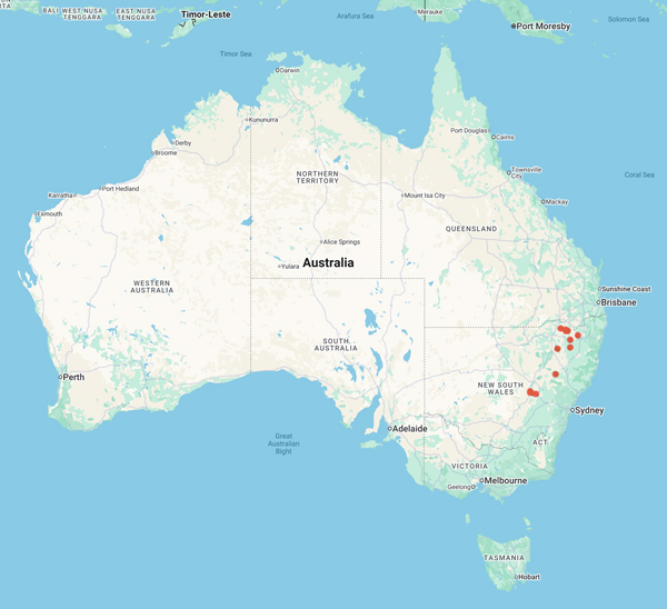 collecting locality map for 'Julius, A.'