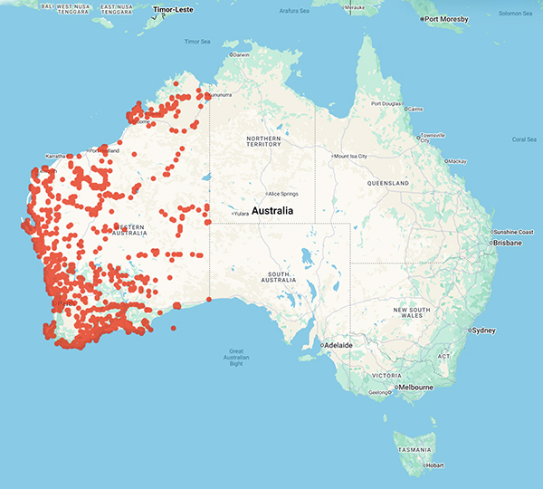 collecting locality map for 'Sweedman, L.S.J.'